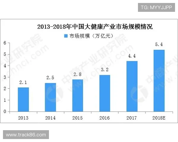 全球武术赛事发展现状与影响力分析及传统武术竞技化趋势研究